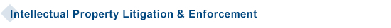 Intellectual Property Litigation & Enforcement