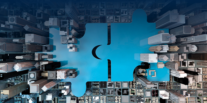 Blue Government Puzzle