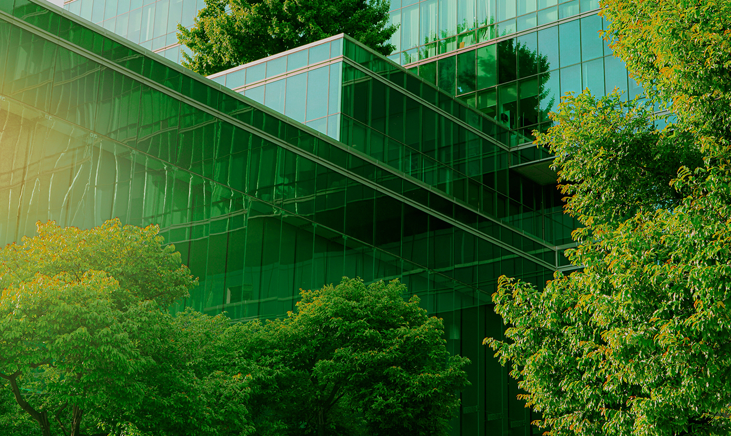 Pacific Green Landscape Maintenance