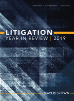 Litigation Review Cover
