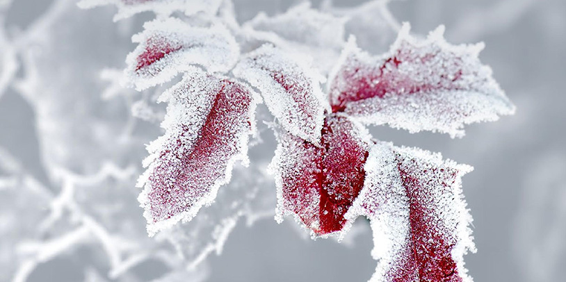 Image of Asia Tax Bulletin Winter 2022