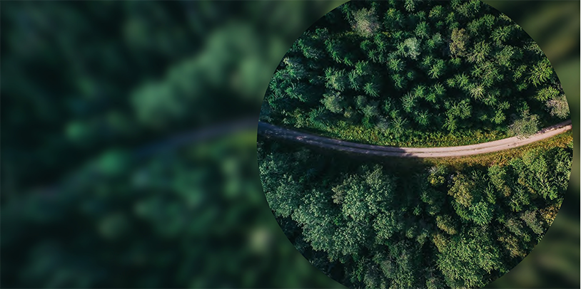 Image of Sustainable Private Equity in Asia: Through the Lenses of Compliance, Strategy and Branding