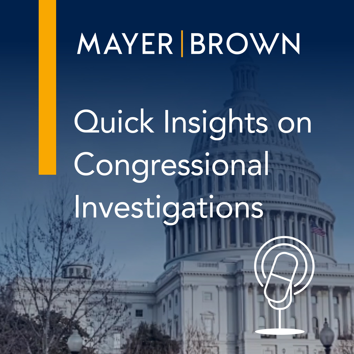 Quick Insights on Congressional Investigations