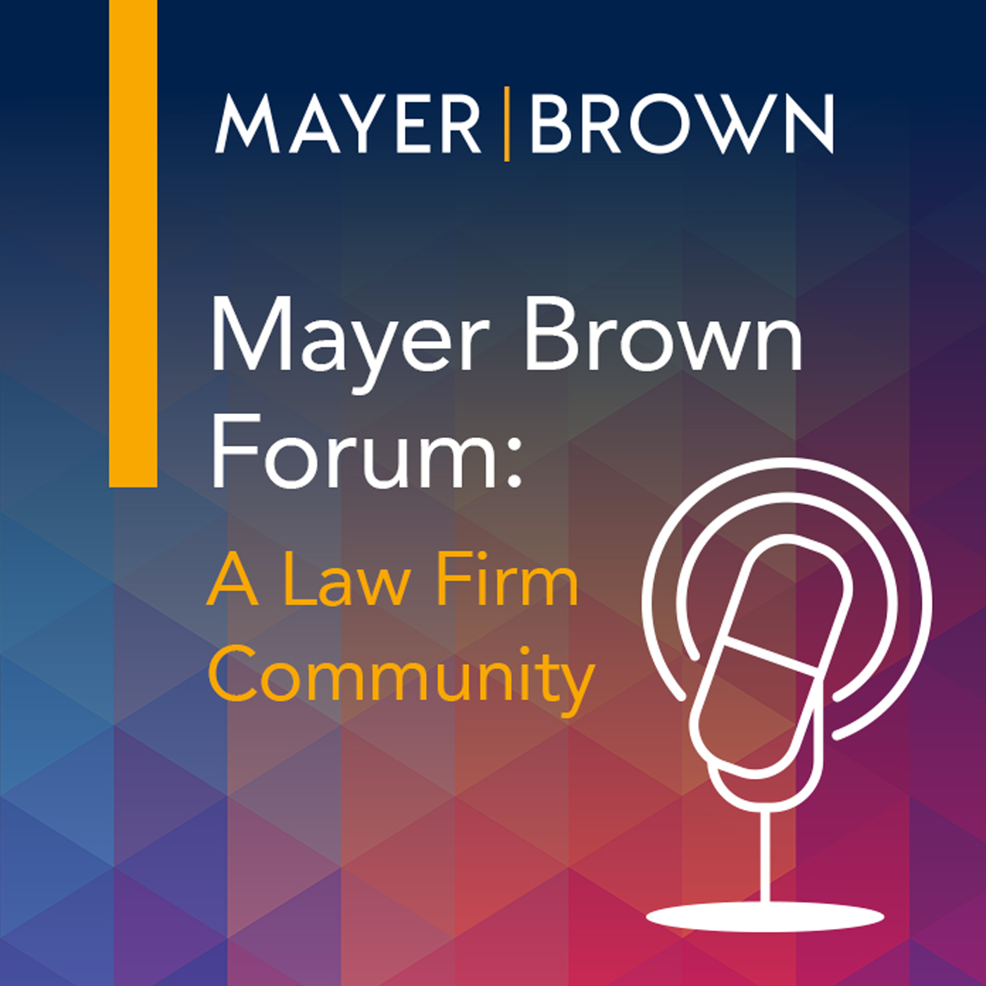 Mayer Brown Forum: A Law Firm Community