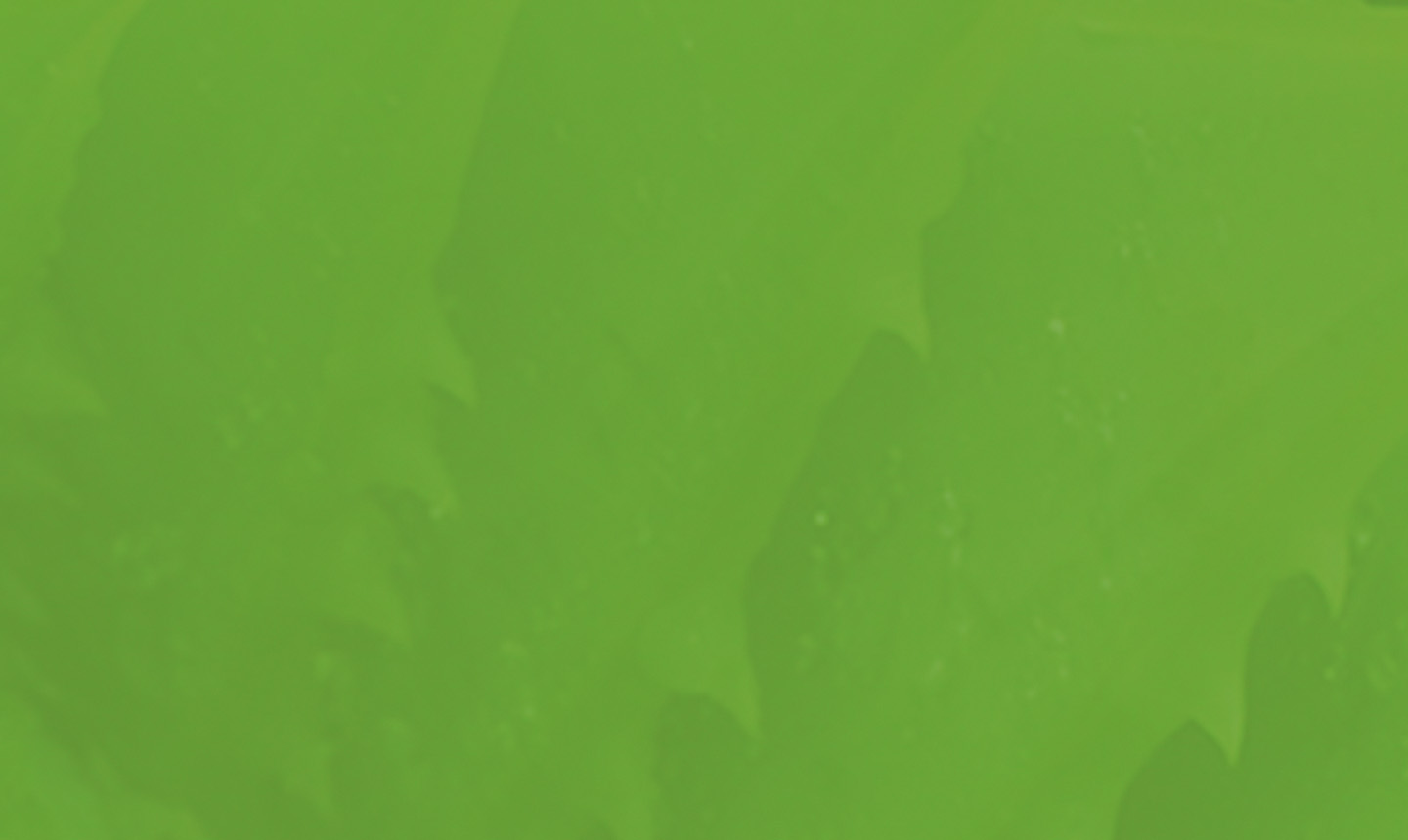 Derivatives Services Mayer Brown