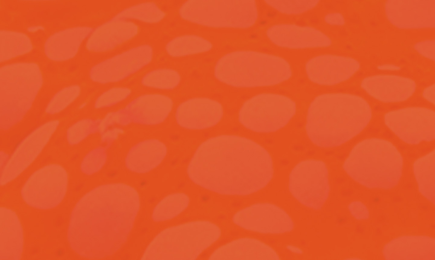 Initial Public Offerings Domaines de compétences Mayer Brown