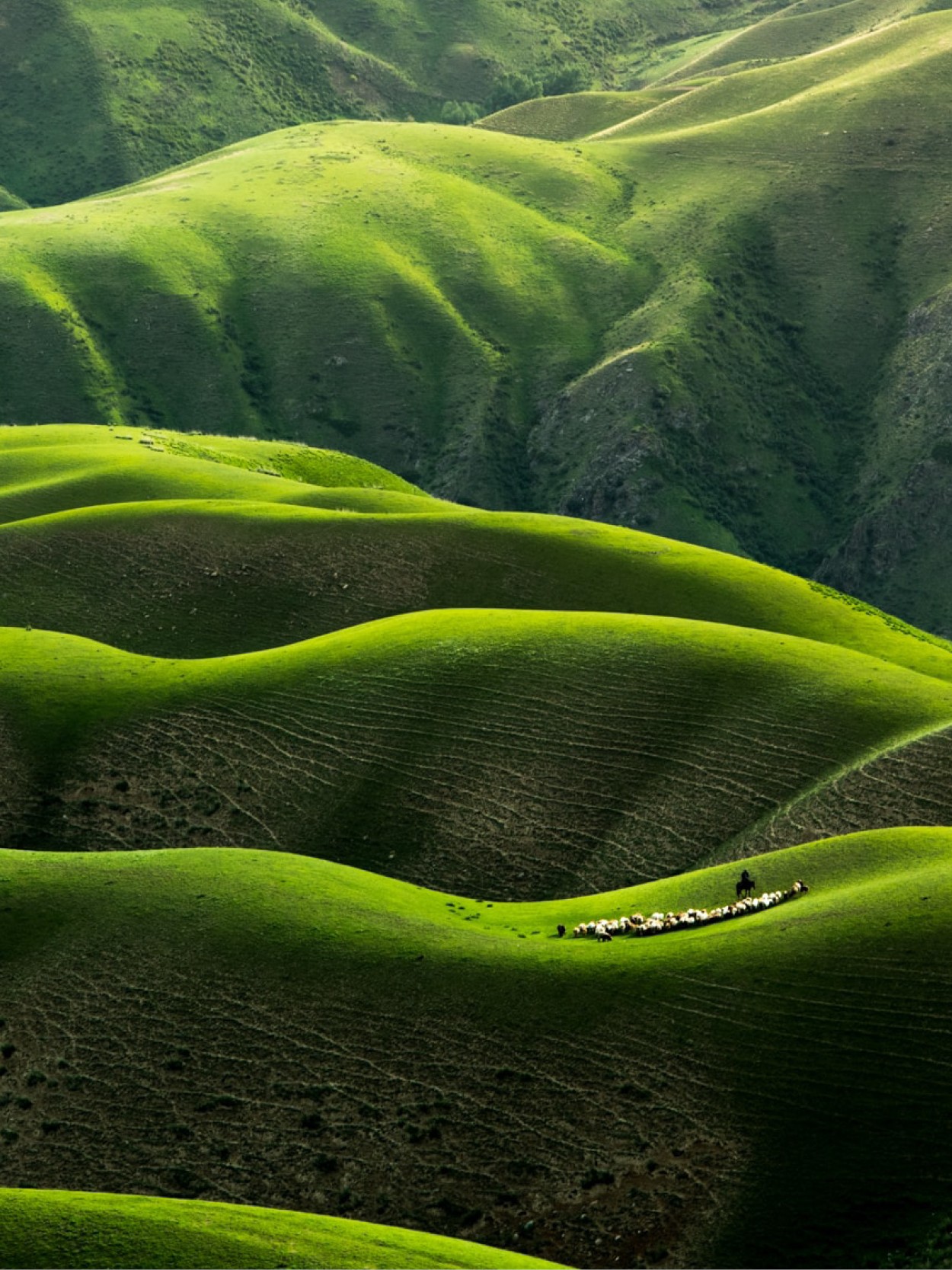 DGCL Amendments Proposed to Address Recent Delaware Court of Chancery ...