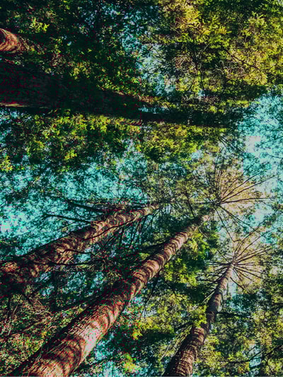 Consultation on UK Carbon Border Adjustment Mechanism (“CBAM”) | Insights Consultation on UK Carbon Border Adjustment Mechanism (“CBAM”) | Insights