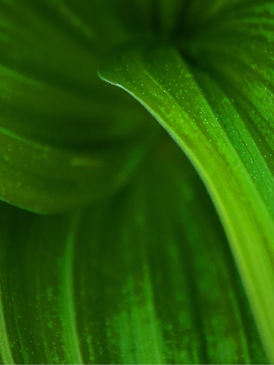 OCC Withdraws Climate Risk Management Principles | Insights